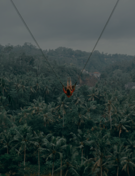 Travel in Indonesia